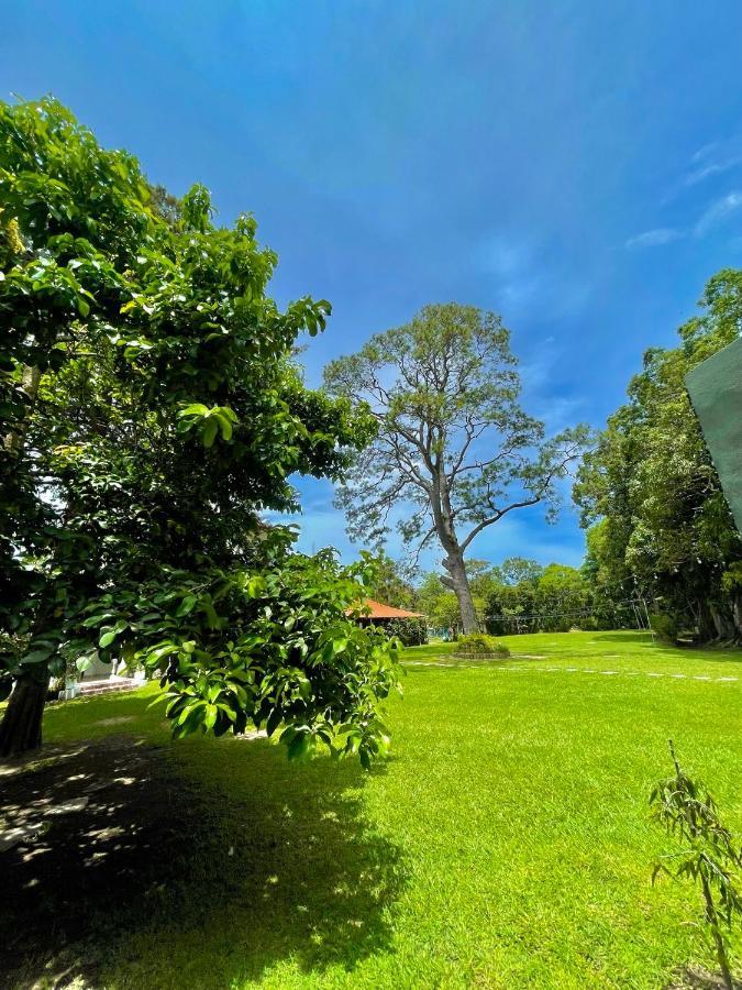 Hotel Finca San Nicolas サンサルバドル エクステリア 写真